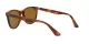 Ray-Ban Wayfarer Ii RB 2185 954/33 Férfi, Női napszemüveg Ray-Ban Wayfarer Ii RB 2185 954/33 Férfi, Női napszemüveg
