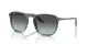 Ray-Ban RB 0RB2203 1391GK