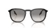 Ray-Ban RB 0RB2203 901/32