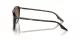 Ray-Ban RB 0RB2203 902/51