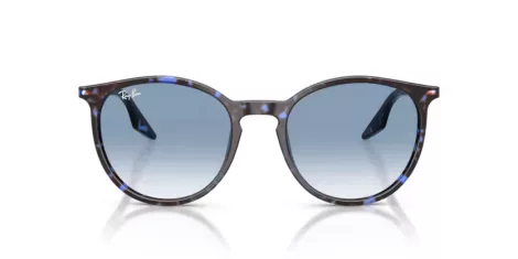 Ray-Ban RB 2204 14303F