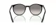 Ray-Ban RB 0RB2204 901/32