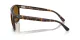 Ray-Ban RB 2213 902/33