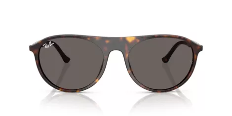 Ray-Ban RB 2215 902/B1