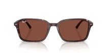 Ray-Ban Raimond RB 2231 1416C5