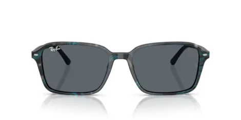 Ray-Ban Raimond RB 2231 1417R5