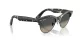 Ray-Ban Clubmaster Way RB 2341 143371