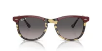 Ray-Ban Eagleeye RB 0RB2398 1377M3