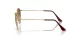 Ray-Ban Round Metal RB 0RB3447 001/51