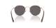 Ray-Ban Round Metal RB 3447 9277B1