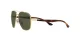 Ray-Ban RB 3683 001/31