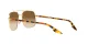 Ray-Ban RB 3699 001/51