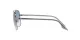 Ray-Ban RB 3699 004/3F