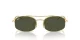 Ray-Ban RB 0RB3719 001/31