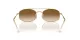 Ray-Ban RB 0RB3719 001/51