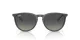 Ray-Ban Erika RB 4171 681311