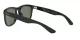 Ray-Ban RB 4260D 601/71