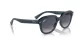 Ray-Ban Erik RB 0RB4398 667678