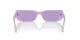 Ray-Ban Teru RB 4425 67581A
