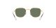 Ray-Ban Junior Frank RJ 9557S 286/71