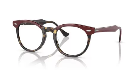Ray-Ban Eagleeye RX 0RX5598 8250 Ray-Ban Eagleeye RX 0RX5598 8250