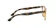 Ray-Ban RX 7159 2012 Ray-Ban RX 7159 2012