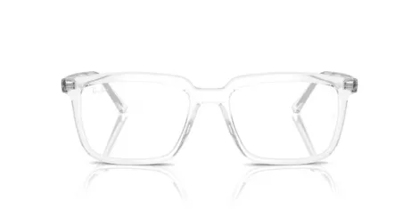 Ray-Ban Alain RX 7239 2001