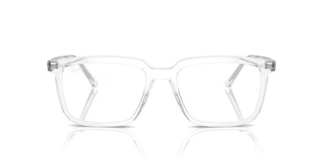 Ray-Ban Alain RX 7239 2001