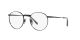 Ray-Ban Round Titanium RX 8237V 1237