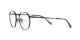 Ray-Ban Round Titanium RX 8237V 1237