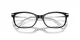 Swarovski SK 2017 1001 Swarovski SK 2017 1001