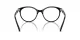Swarovski SK 2019 1001 Swarovski SK 2019 1001