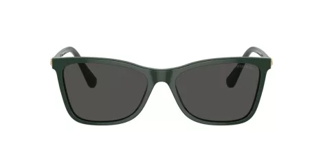 Swarovski SK 6004 102687