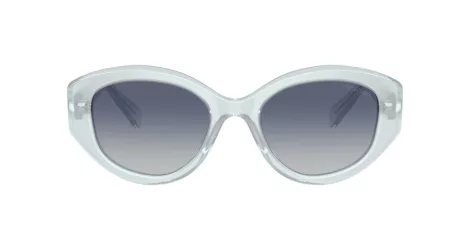 Swarovski SK 6005 10244L