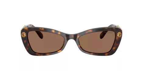 Swarovski SK 6033 100273