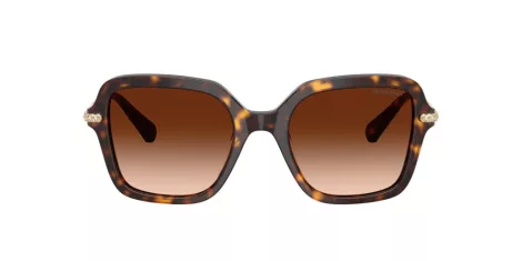 Swarovski SK 6040 100274