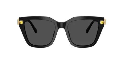 Swarovski SK 6041 100187