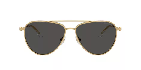 Swarovski SK 7031 400487