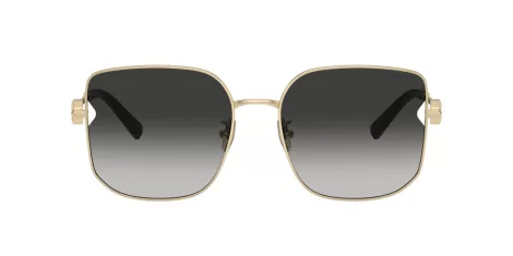 Tiffany TF 3105D 6021S4