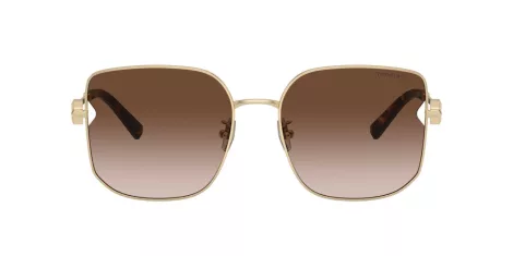 Tiffany TF 3105D 61893B