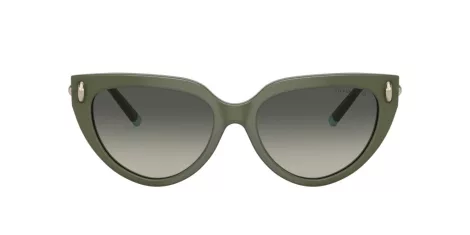 Tiffany TF 4195 835811