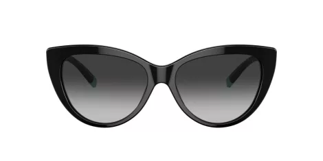 Tiffany TF 4196 80013C