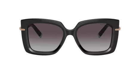 Tiffany TF 4199 80013C