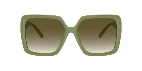 Tiffany TF 4206U 83687Z