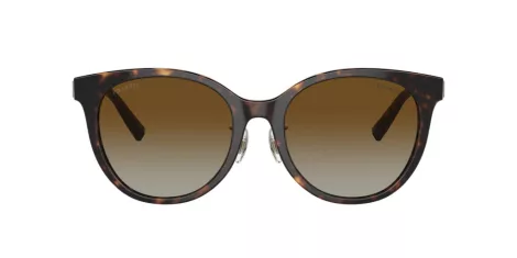 Tiffany TF 4209D 8015T5