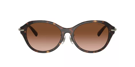 Tiffany TF 4210D 80153B