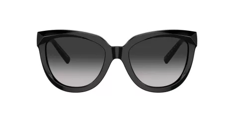 Tiffany TF 4215 80013C