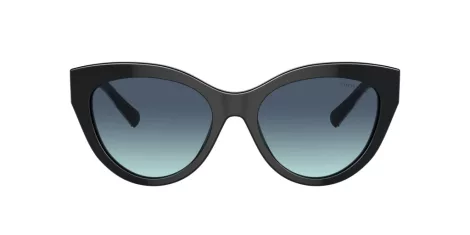 Tiffany TF 4220 80019S