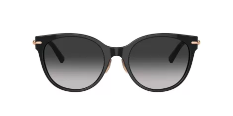 Tiffany TF 4223D 80013C