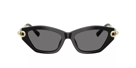 Tiffany TF 4231U 800181